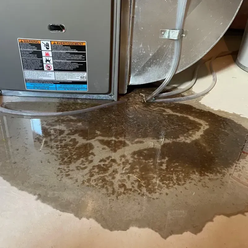 Appliance Leak Cleanup in Maplewood, MN